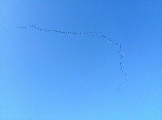 D4C54038-B01C-4B7D-B41D-17927BD0F8A1/L0/001