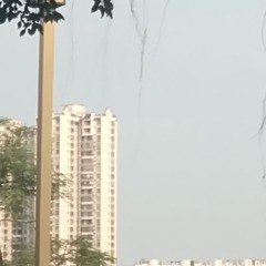 4452203