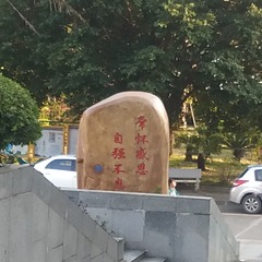 4438329