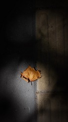 2058B156-9B87-4F27-B058-9E38784412E2/L0/001