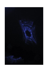 01AEAE6A-EA9F-400D-8FB7-5F66C4D3BA5E/L0/001