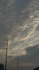 1DF5EF5F-1CD8-4480-B864-57C0FC2F823D/L0/001