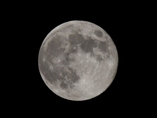 IMG_3087.JPG