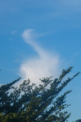 C4447154-C878-4B1F-831E-52E396821DEB/L0/001