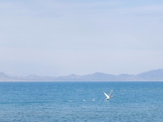 9BC0016F-C6D0-4AA1-81E5-69CD01B217DD/L0/001