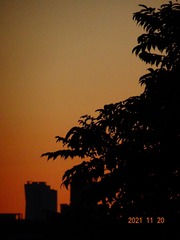 FC29C835-976C-4126-B3A3-562085E24332/L0/001
