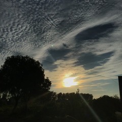 B42E0523-45BD-4B72-A64E-98C565687816/L0/001