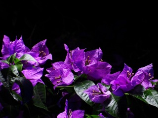 151C5911-B086-47E1-B3A0-D719B57737B5/L0/001