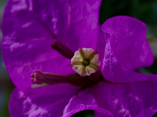 E65B3095-C587-401E-91ED-77E98F21C433/L0/001