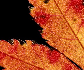 67D023C9-77AB-470A-8889-D79E4AF55935/L0/001