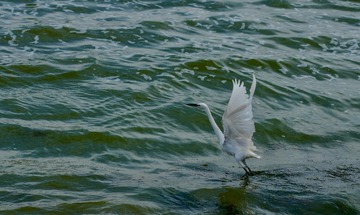 2893CF1B-0083-4990-9B12-02029E6F89CA/L0/001