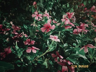 8508FBA9-118C-4B3E-9349-36E12B2113C0/L0/001