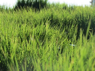 B05E4C5F-F99C-4744-8657-42B80BA4B886/L0/001