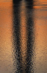 1000103172