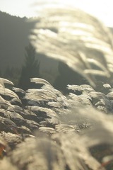 1000184676
