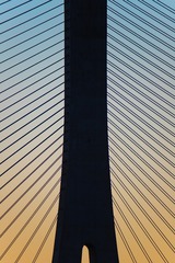 1000103176
