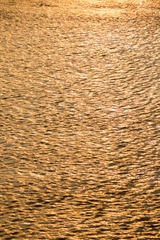 1000141250