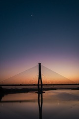 1000103174
