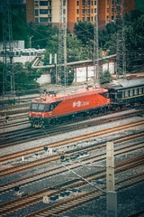 1000113437