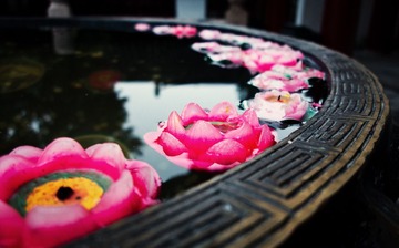 IMG_2268.jpg