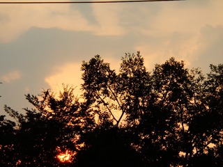 7BF0D5BB-9509-40C8-AD71-2EF078024945/L0/001