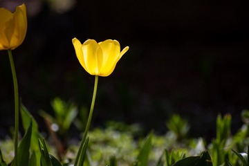 1362211