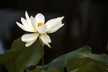 1379026
