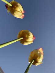 A2E49045-A876-44CA-852F-15CD3ACEAB94/L0/001