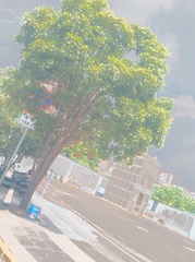 6CF69A1E-0D3D-4C53-A135-EEFF148D22F7/L0/001