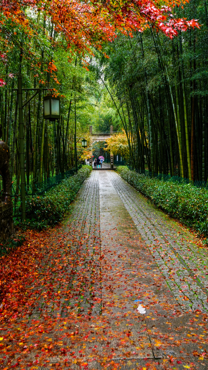 用户151021331780545 - 图虫网 - 优质摄影师交流社区