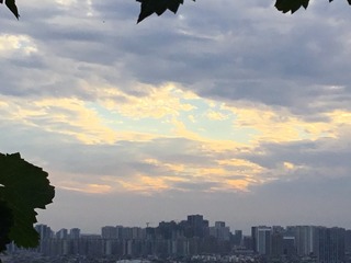 25ED01DC-8648-4005-8EE0-BF9DDD479BF6/L0/001