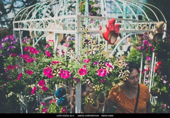 DSC_3381-1.jpg