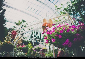 DSC_3383-1.jpg