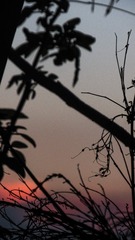 00DF6396-7E59-47C5-90BF-824BF6DAA6F4/L0/001