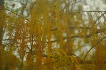 200846