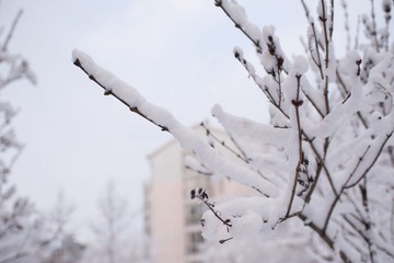 DSC_1153-20120318-254.jpg