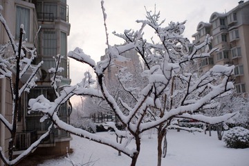DSC_1157-20120318-258.jpg