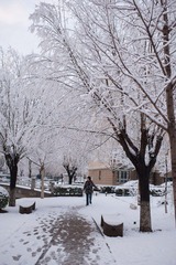 DSC_1163-20120318-264.jpg