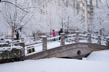 DSC_1168-20120318-269.jpg