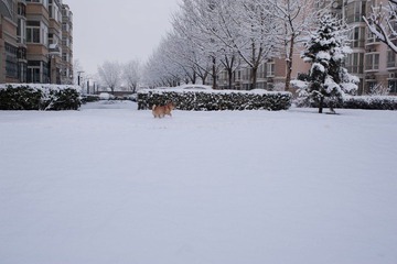 DSC_1175-20120318-276.jpg
