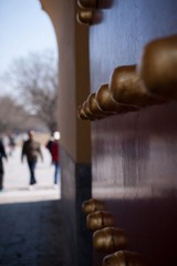 20120407_01.jpg