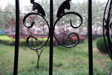 DSC_44341.jpg