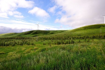 DSC_6864-20120722-5003.jpg