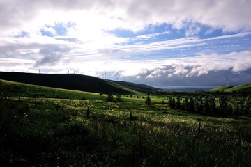 DSC_6875-20120722-5014.jpg