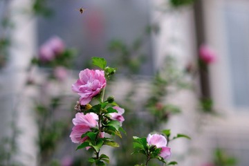 20120909-2.jpg