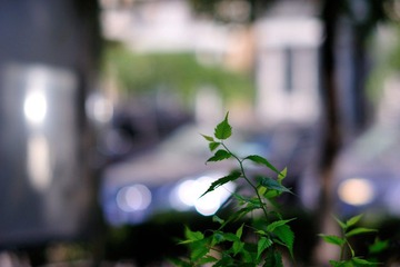 2012-09-16-03.JPG