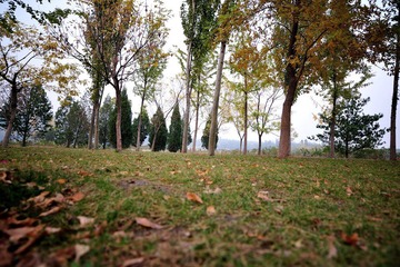20121020-8972-DSC_1163.jpg