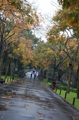 雨中苏堤
