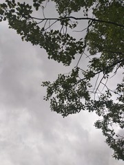 1553471