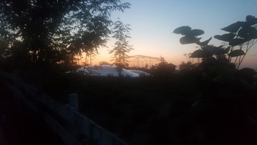 280319